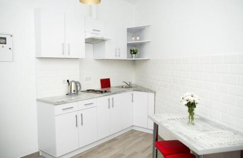Lviv City Center Apartamento | Deluxe Apartment in old city center