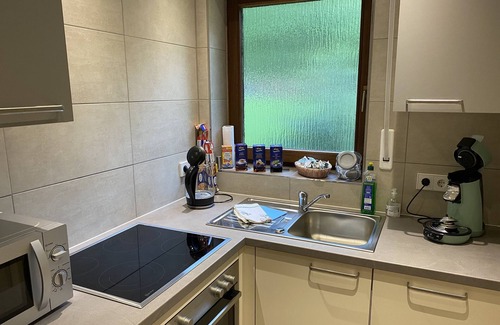Pfeffingen Apartamento | Deluxe room 1, 32sqm, 1st floor, max. 2 persons
