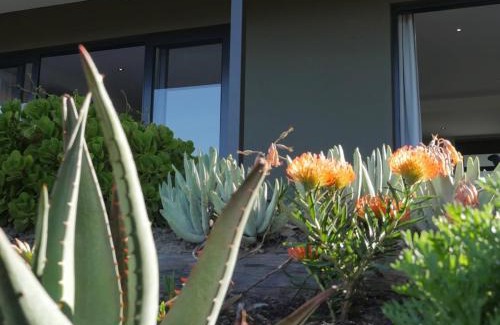 Knysna Apartamento | denBosch Cottages