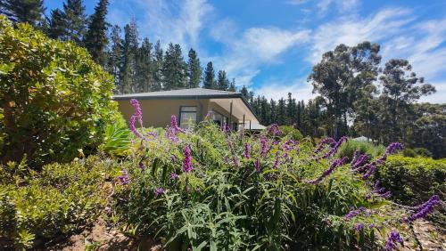 Knysna Apartamento | denBosch Cottages