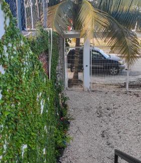 Felipe Carrillo Puerto Apartamento | Departamento céntrico con estacionamiento 1