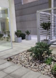 Bahia Blanca Apartamento | Departamento 1 dormitorio amueblado