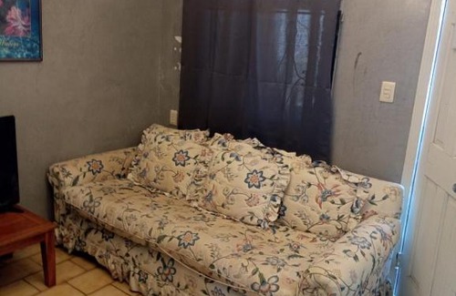 Segunda Seccion Apartamento | Departamento #4