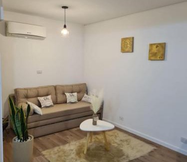 Neuquen Apartamento | Departamento amoblado microcentro del alto