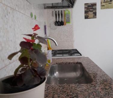 Cipolletti Apartamento | Departamento Balcarce