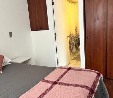 Bellas Artes Apartamento | Departamento Céntrico 1 ambiente