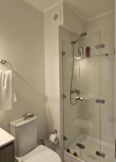 Pitrufquen Apartamento | Departamento Centro Plaza 403