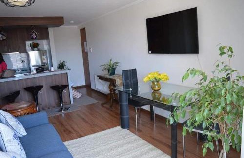 Concepcion Apartamento | Departamento Concepción III