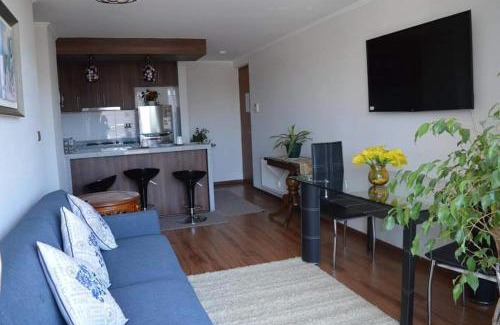 Concepcion Apartamento | Departamento Concepción III
