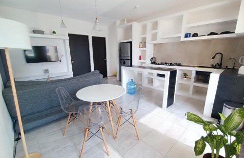 Soledad de Graciano Sanchez Apartamento | Departamento Ejecutivo
