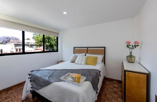 Coyoacan Apartamento | Departamento en Coyoacán 7