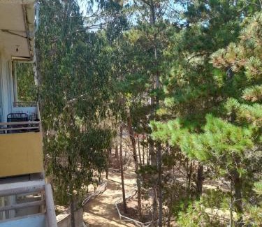 El Tabo Apartamento | Departamento en el Tabo