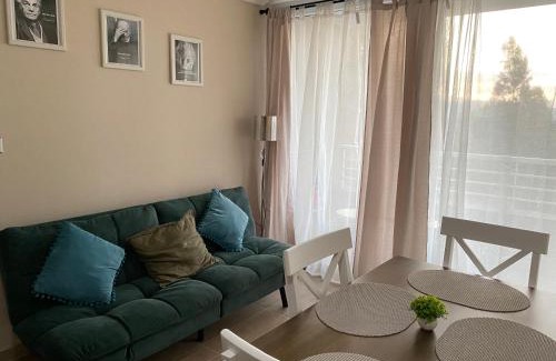 Vina del Mar Apartamento | Departamento en Viña del Mar