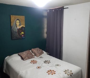 Yauhquemehcan Apartamento | Departamento Jardín Magnolia