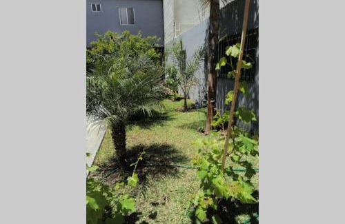 Constitucion Apartamento | Departamento las palmas
