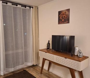 Downtown Santiago Apartamento | Departamento metro Rondizzoni