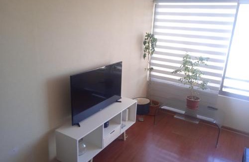 Bellavista Apartamento | Departamento Santiago Centro