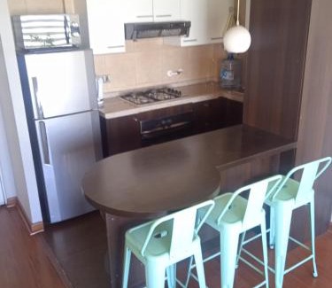 Bellavista Apartamento | Departamento Santiago Centro