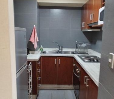 Temuco Apartamento | Departamento Temuco