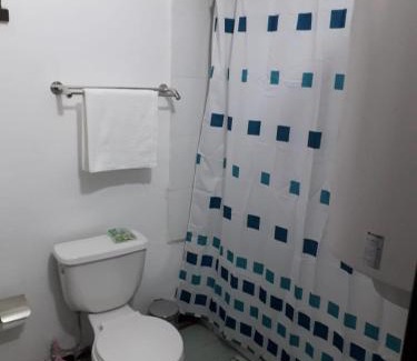 Downtown Santiago Apartamento | Departamentos Altomoneda Vidaurre