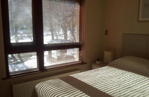 Pinto Apartamento | Depto Andes de Chillán