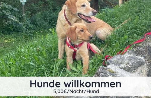 Steina Casa | Der Fuchsbau - 3 separate Blockhäuser - ruhige Lage - 50m bis zum Wald - eingezäunter Garten