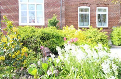 Kotzenbull Apartamento | Der Mithinghof