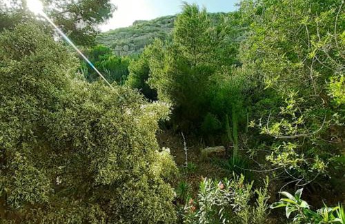 Santa Pola Apartamento | Descansar, sonreír, sentir. Paraíso frente al mar