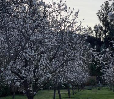 Isla de Maipo Cama Y Desayuno | Descanso al Viejo Estilo