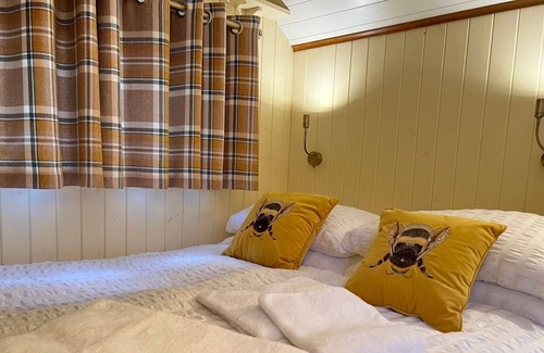 Llandysul Casa | Description of the service offered: