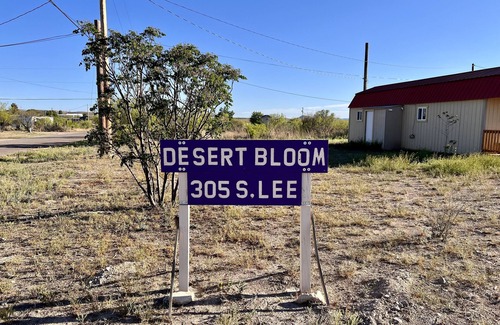 Marathon Casa | Desert Bloom