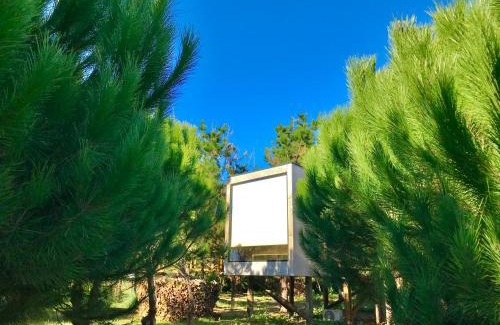Gafanha do Carmo Casa | Desertas Beach and Sport