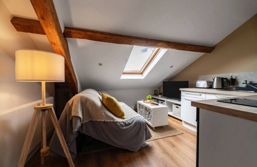 Vieux Vichy Apartamento | Design apartment in the city center