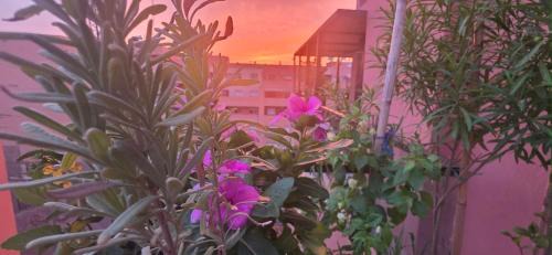 Semlalia Apartamento | Design Art Gallery Apartment Marrakech swimming pool on the Roof