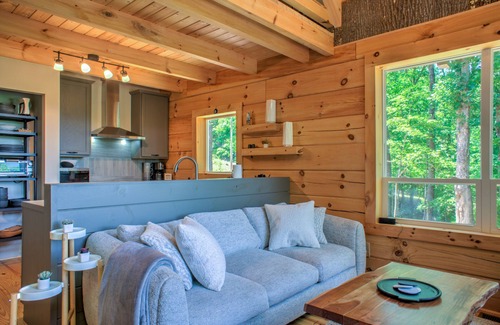 Saluda Cabina | Designer Log Cabin⛰️ Views + Biltmore Pass | Modern Luxury near Saluda