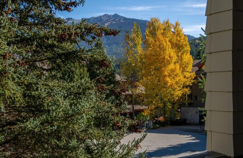 Blueberry Hill Apartamento | Desirable Blueberry Hill