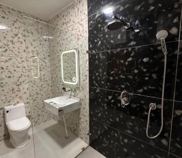 Janakpuri Casa | Desire Courtyard