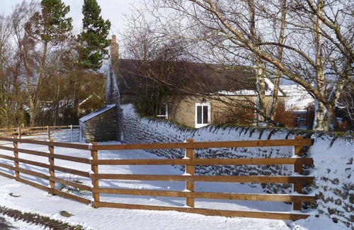 Tarset Cabaña | Casa Independiente Con Jardín Privado Amurallado