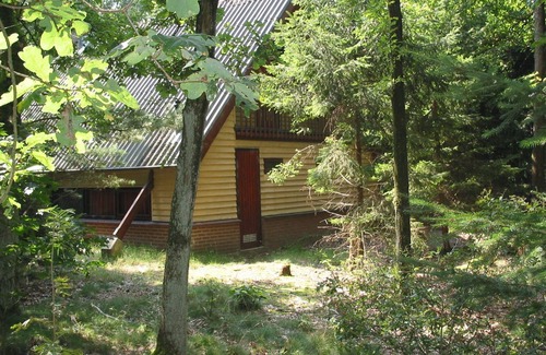 Herpen Casa | Detached wooden bungalow with microwave surrounded by nature