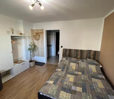 Kocevje Apartamento | Deteljica