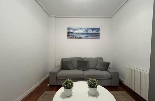 Deustuko San Pedro-Erribera Apartamento | Deusto Apartment