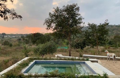 Bandipur Casa | Dhole's Den Bandipur