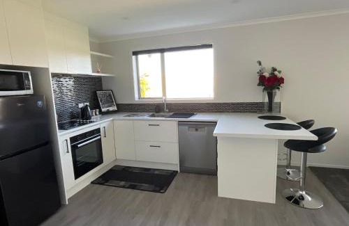 Masterton Apartamento | Di Lusso Lansdowne