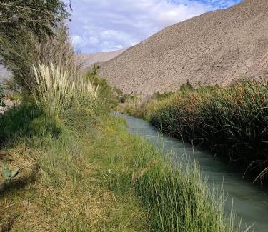 Vicuna Casa | DIAGUITAS, VICUÑA, VALLE DEL ELQUI