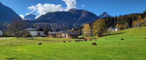 Kotschach-Mauthen Casa | Dijkstra`s Cottage 672