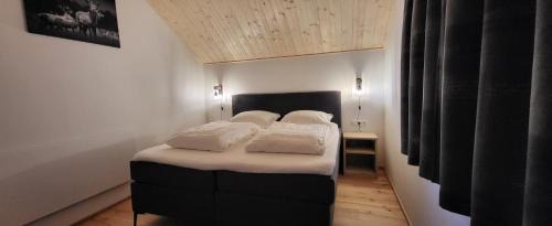 Kotschach-Mauthen Casa | Dijkstra`s Cottage 672