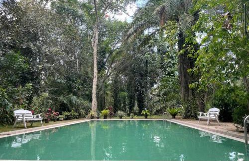 Kotadeniyawa Casa | Diklande Estate Bungalow