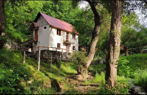 Dilijan Cabina | Dili dzor