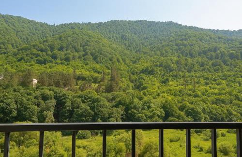 Dilijan Apartamento | Dilijan Nature House