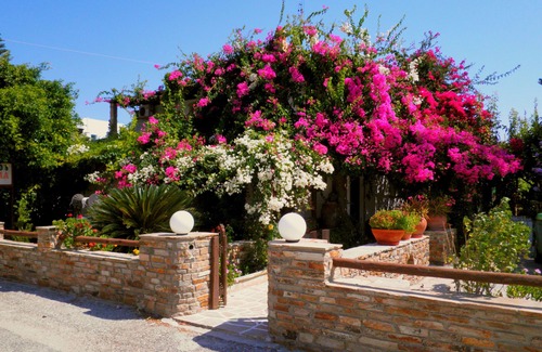 Kastraki Apartamento | Dimitra Studios